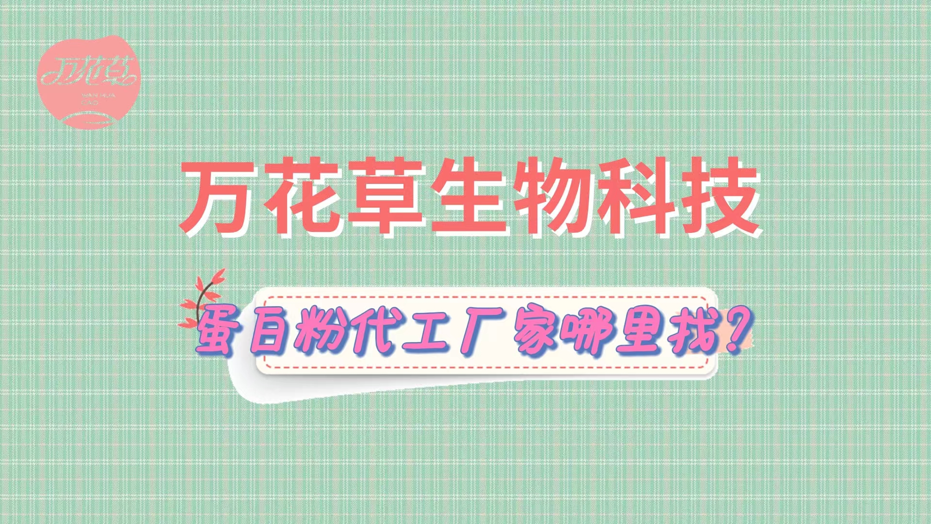 蛋白粉代加工，怎么找專業(yè)源頭廠家？